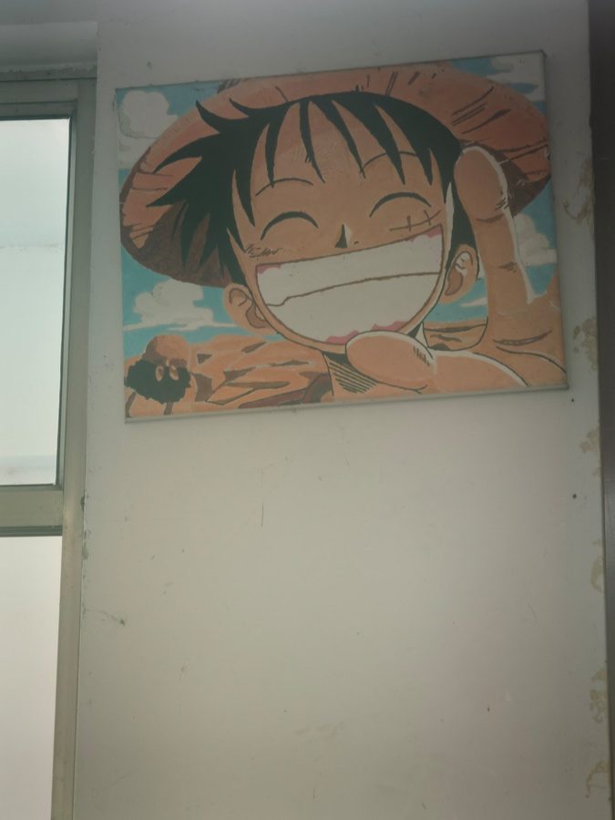 照片 5